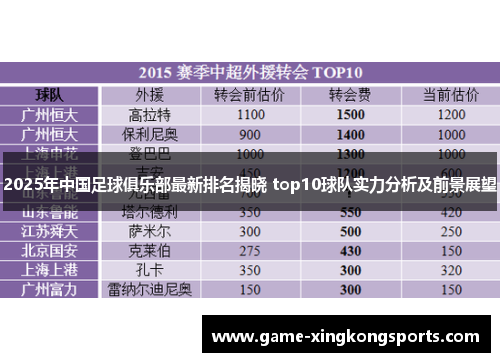 2025年中国足球俱乐部最新排名揭晓 top10球队实力分析及前景展望