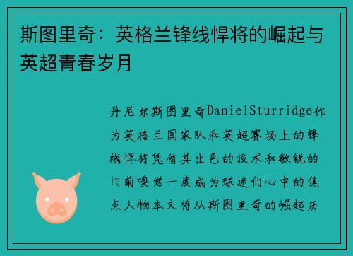 斯图里奇：英格兰锋线悍将的崛起与英超青春岁月