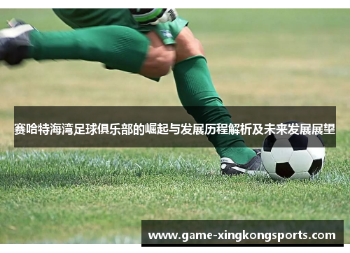 赛哈特海湾足球俱乐部的崛起与发展历程解析及未来发展展望