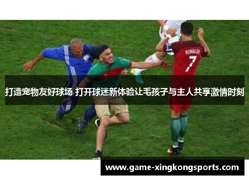 打造宠物友好球场 打开球迷新体验让毛孩子与主人共享激情时刻