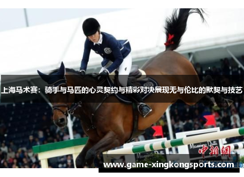 上海马术赛：骑手与马匹的心灵契约与精彩对决展现无与伦比的默契与技艺