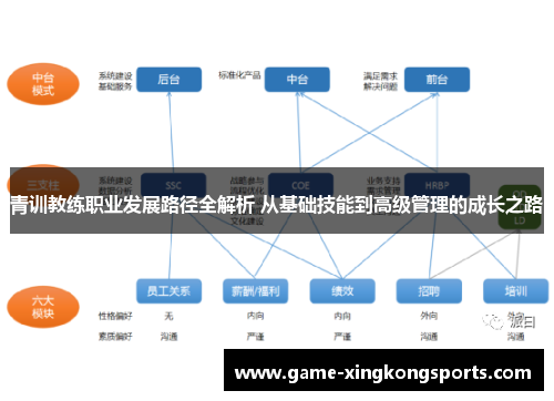青训教练职业发展路径全解析 从基础技能到高级管理的成长之路