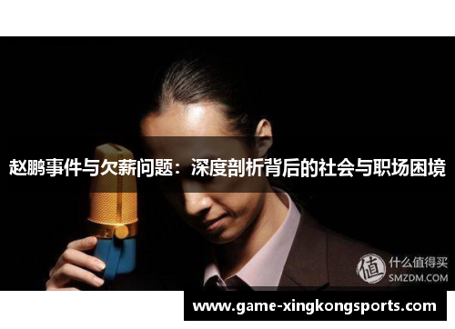 赵鹏事件与欠薪问题：深度剖析背后的社会与职场困境