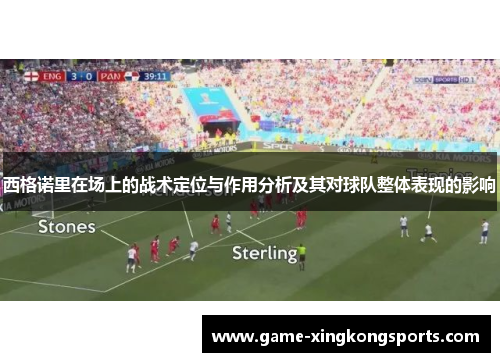西格诺里在场上的战术定位与作用分析及其对球队整体表现的影响