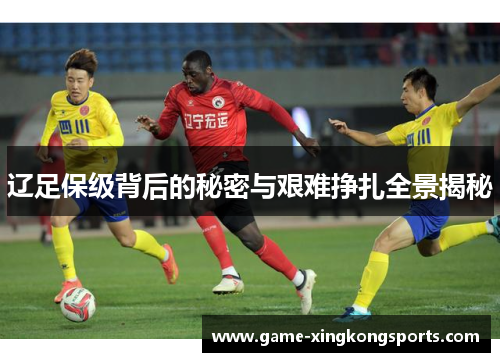 辽足保级背后的秘密与艰难挣扎全景揭秘